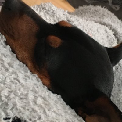 2ttMLAPiYqDZuDv's profile picture. よろぴく