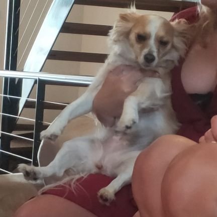 bighatbitch's profile picture. Chippies expert & PR Gal at Red Havas