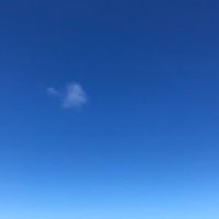 、、。 (@on100days_later) 's Twitter Profile