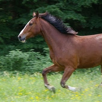 luvthis_i's profile picture. 다구독..다구독...취향 맞춰 다구독...거래도 한 번씩...다구독..트윗해주셔서 감사합니다..다구독.