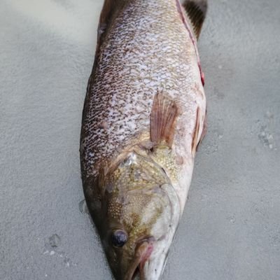 Jonatha73541080's profile picture. 