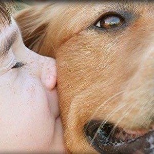 Recogemos perros abandonados en las provincias de León, Segovia, Zamora y Avila, a fin de promocionar su adopcion e incorporación a familias