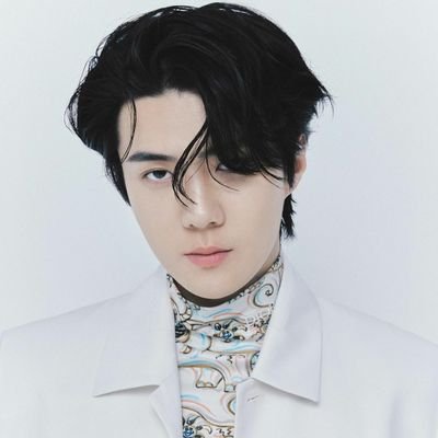 RP • Youngest from EXO named Oh Sehun • チーム • 𝐌𝐂𝐌𝐗𝐂𝐈𝐕 • Vivi Monsieur Haetnim •