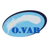 白い羽根の吹奏楽団(VAB吹)【公式】🕊️(@OVAB__) 's Twitter Profile Photo