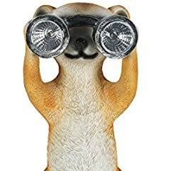 braun_niclas's profile picture. 