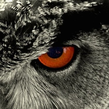 unryyenagain's profile picture. Seule compte la vérité sans fard , sans masque ! #Desobeissance \Resistance