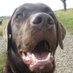 Ernie and Berti (@berti_and_ernie) Twitter profile photo Ernie and Berti (@berti_and_ernie) Twitter profile photo