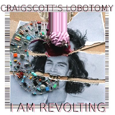 CSLobotomy's profile picture. Constructor of crude music making paraphernalia and guitarist @ShatnerBassoon. New Album out in the form of PinkConcrete USBBrain & homemade lathecut vinyl
