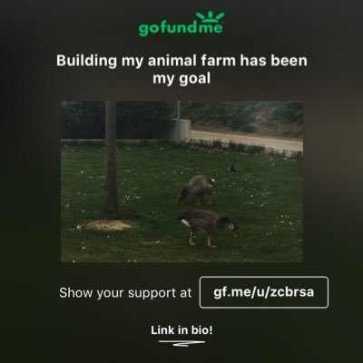 Donate to help my dream and goal of building my animal farm