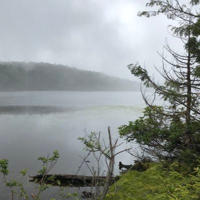 j1xO2crTXtVJrmo's profile picture. 医学部志望 n=2 無料学習室、スタサプ会員 心因性胸痛持ち 浪人ダイエット中