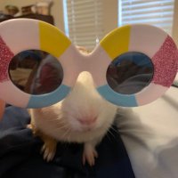 ☮️🌻@SeekerofNoble@mstdn.social🌻 (@seekerofnoble) Twitter profile photo