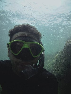 PabloMerlo1's profile picture. Biólogo marino. Fotógrafo de naturaleza. PhD student. He/him/his