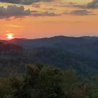 Down On The Holler Podcast (@downontheholler) Twitter profile photo