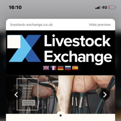 Livestock Exchange Worldwide LTD