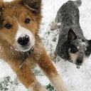 Deb Copeland - @Debbydoll67 - Twitter