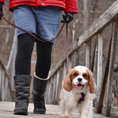 Veterinarian. Scientist. Educator. Feminist. @cornell