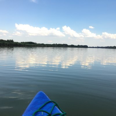 Misikee31's profile picture. 