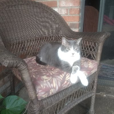 hillarywillbern's profile picture. 