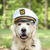 The Duncan Dog (@theduncandog) Twitter profile photo The Duncan Dog (@theduncandog) Twitter profile photo