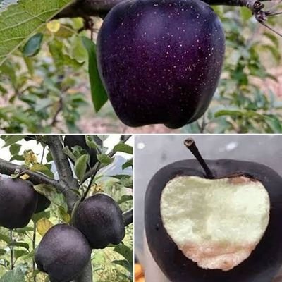 FarmerProducer's profile picture. 