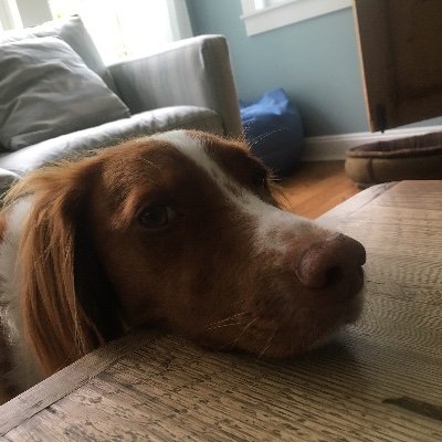 jcpennnyyy's profile picture. Trying to figure out Incident Response one day at a time.