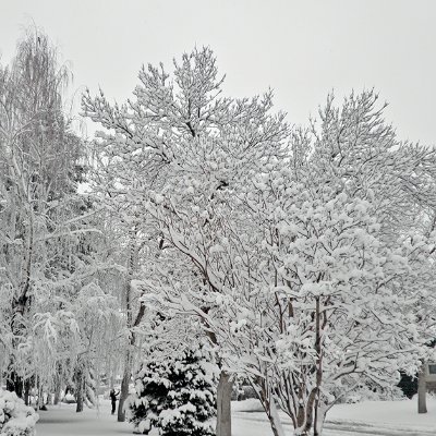 YuJingLee1's profile picture. 紅塵慾海中，我能做什麼？
茫茫天地間，我在找尋什麼？