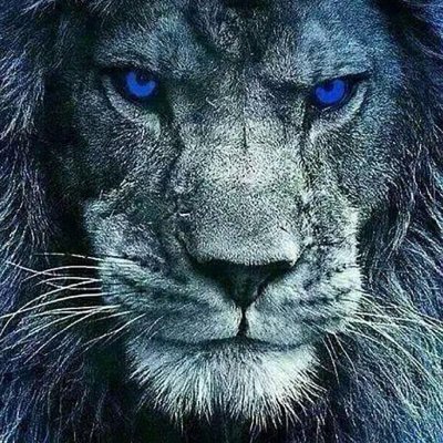 Roman86032024's profile picture. .....