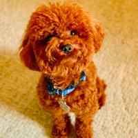 JB Poersch (@jbpoersch) 's Twitter Profile