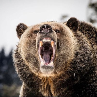MVHS Boys Basketball, Bruin Strong. Instagram:@mvhsbruinshoops