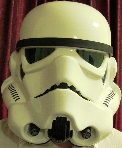 I have ambitions of completing my own Death Star and believe that every village should have its own idiot