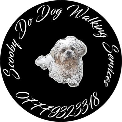 #Scooby Doo #Dog #Walker ensures your #pet will be in safe hands. please contact us on 07779323318 to arrange a #free consultation https://t.co/cmzciJq5la