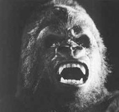 mysticalsauce's profile picture. refreshingly fresh..but you wouldnt know.