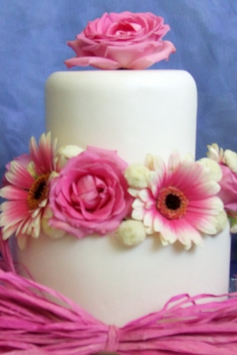 Hi, I am a celebration cake maker, designer & decorator based in Catterick Garrison, Near Richmond, North Yorkshire.