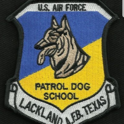 25Msgt's profile picture. 25 year military veteran.  Married, father, voter and defender of the constitution.   The eyes are useless....when the mind is blind.