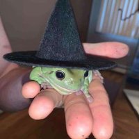 Mauяício (@anotherosrs) 's Twitter Profile