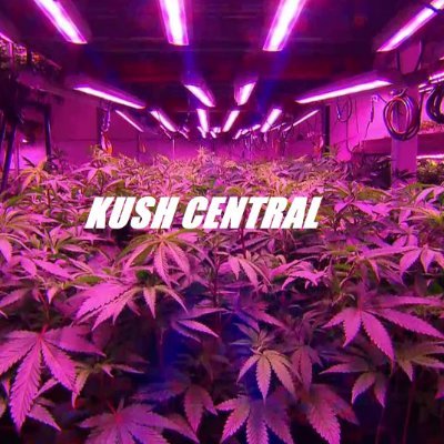 Kush Inspired apparel. The way we see it, the kush is already loud enough so your clothes don't have to be!