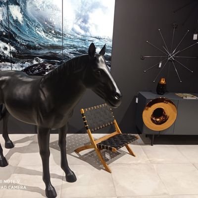 naricma's profile picture. #bitcoin