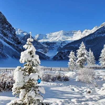 RoyMari74928827's profile picture. à venir