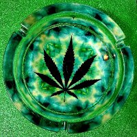 Planet Cannabis(@planetflower420) 's Twitter Profile Photo
