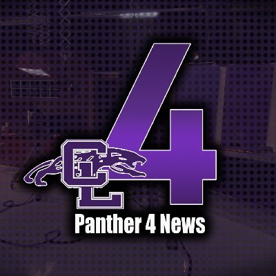 Digital Photography, Game Design, Animation and Video Productions teacher
