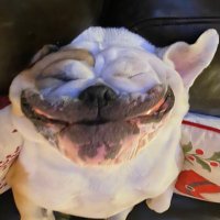 JoJax (@jojax5) 's Twitter Profile