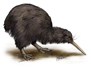 mjwkiwi's profile picture. New Zealand Labour Party member, tweets are my own opinions.  NZ, Aus, UK and US politics, my main interests.