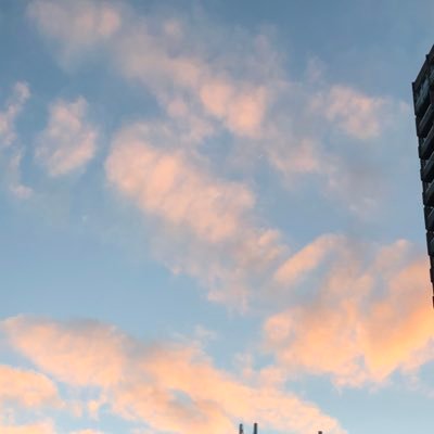 alexa__levine's profile picture. 