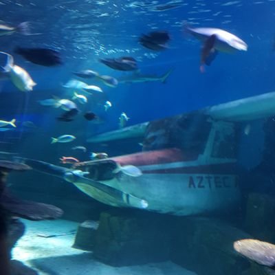 kitrr0's profile picture. 