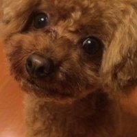 akintuition (@akintuition) Twitter profile photo
