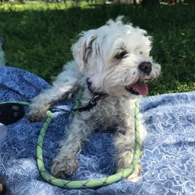 kfel_'s profile picture. 