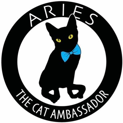AmbassadorAries Profile Picture