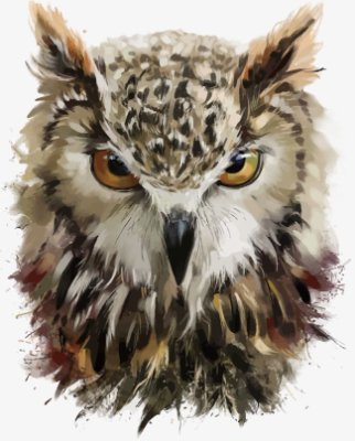 Owl_NY's profile picture. look into deep