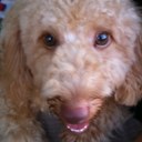 edwin bacon - @edwin_bacon - Twitter