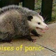 NotSteven31's profile picture. 